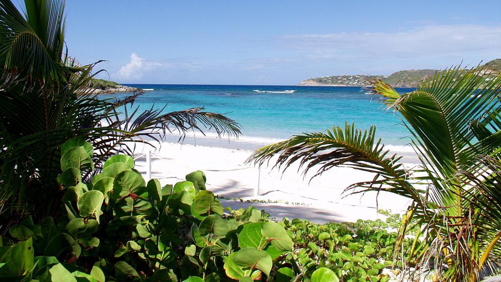 Tropical Hotel St Barth Gustavia Extérieur photo